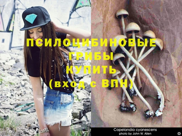 каннабис Лабытнанги