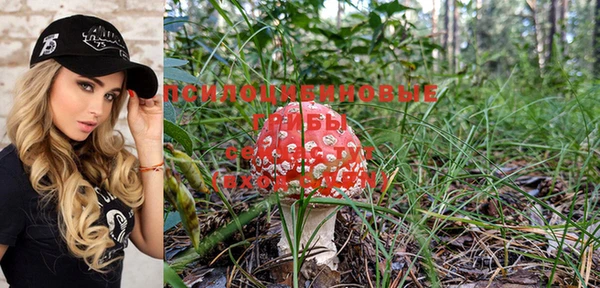 гашишное масло Ладушкин