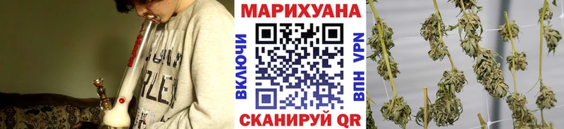 Купить Астрахань Каннабис ГИДРОПОН